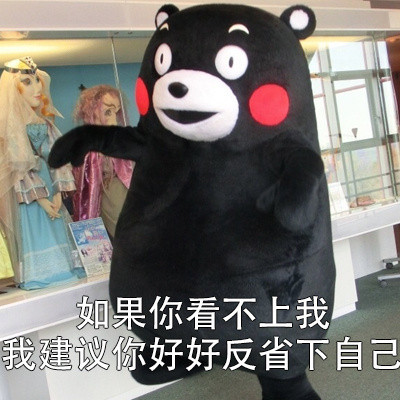 我有一些不成熟的小建议微信熊本熊恶搞表情包