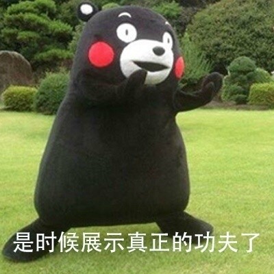 是时候展示真正的功夫了微信熊本熊恶搞表情包