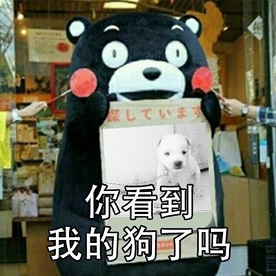 你看到我男朋友了吗微信熊本熊恶搞表情包
