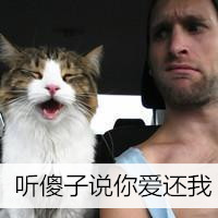 微信最新个性帅气带宠物男生头像合集下载