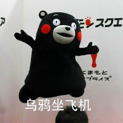 是时候展示真正的功夫了微信熊本熊恶搞表情包