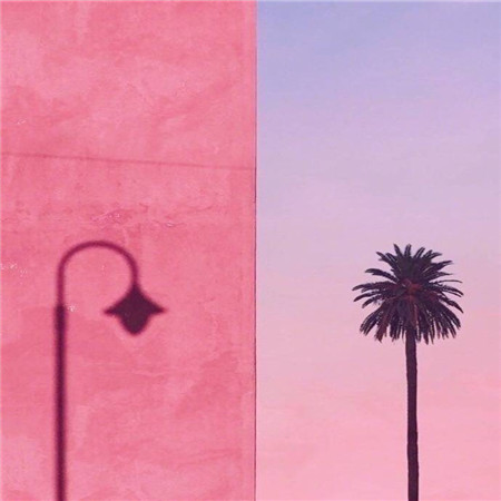 微信粉嫩系唯美小清新朋友圈配图