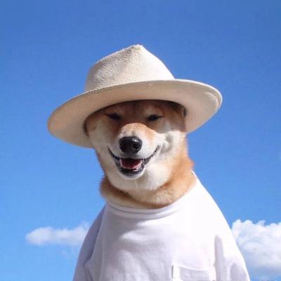 微信可爱狗狗头像