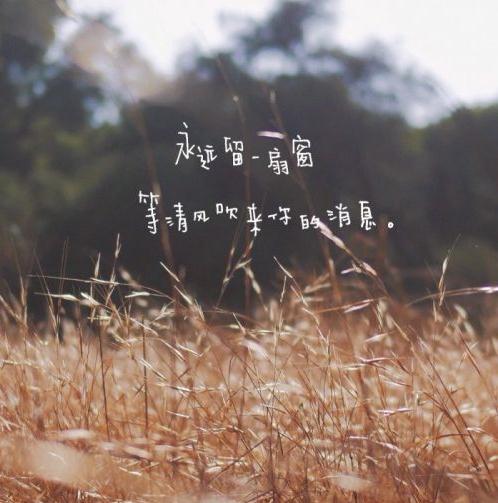 微信好看带文字朋友圈配图