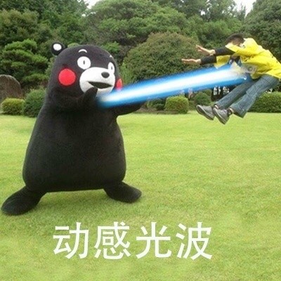是时候展示真正的功夫了微信熊本熊恶搞表情包