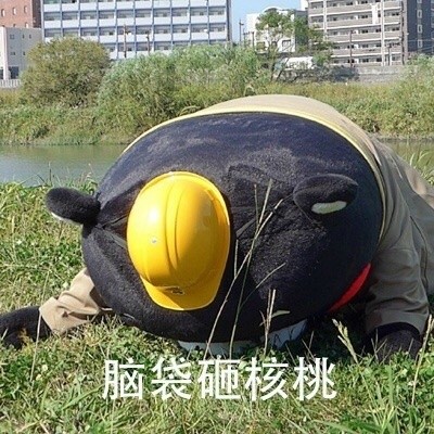 是时候展示真正的功夫了微信熊本熊恶搞表情包