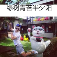 微信最新个性帅气带宠物男生头像合集下载