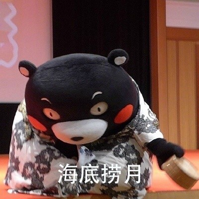 是时候展示真正的功夫了微信熊本熊恶搞表情包
