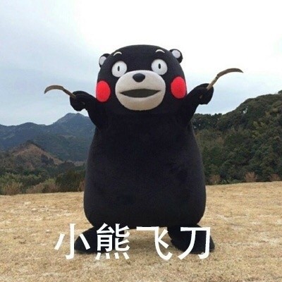 是时候展示真正的功夫了微信熊本熊恶搞表情包