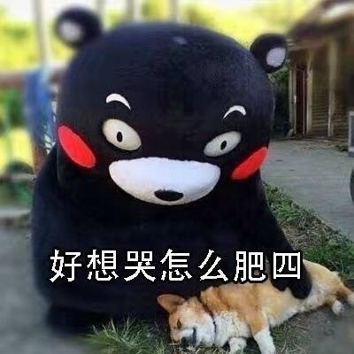 这到底是怎么肥四微信熊本熊恶搞表情包