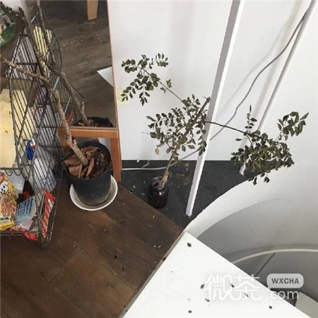 微信唯美简约朋友圈配图