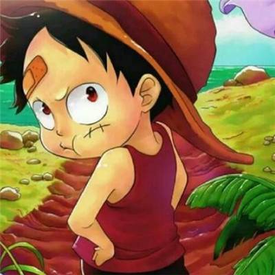 微信最新海贼王头像