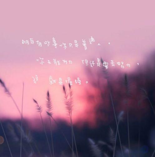 微信好看带文字朋友圈配图