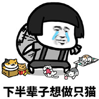 下辈子做只猫微信恶搞表情包