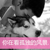 微信最新个性帅气带宠物男生头像合集下载