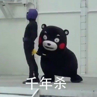 是时候展示真正的功夫了微信熊本熊恶搞表情包