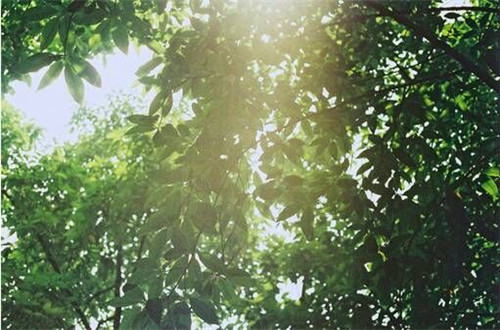 微信唯美有意境朋友圈配图