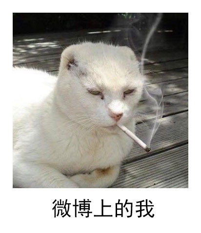 不同社交平台的我微信恶搞表情包