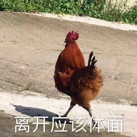 近期微信斗图恶搞表情包十月二十九号