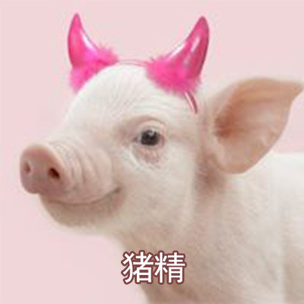 万圣节你演什么不用化妆微信恶搞表情包