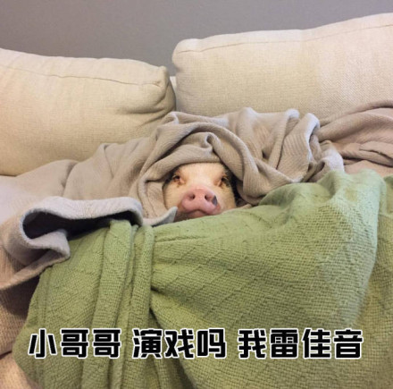 教小姐姐们如何搭讪小哥哥微信恶搞表情包