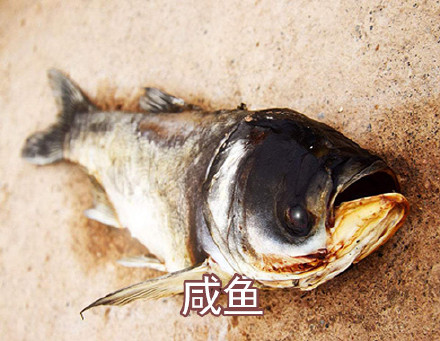 万圣节你演什么不用化妆微信恶搞表情包