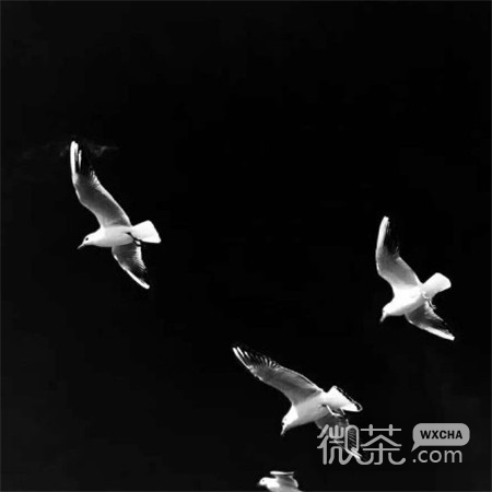 微信个性好看风景朋友圈配图