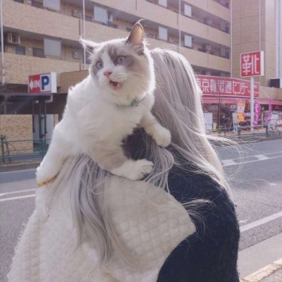 微信清新唯美好看女生头像