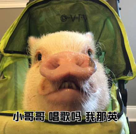 教小姐姐们如何搭讪小哥哥微信恶搞表情包