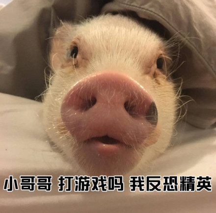 教小姐姐们如何搭讪小哥哥微信恶搞表情包
