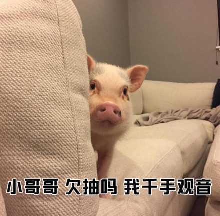 教小姐姐们如何搭讪小哥哥微信恶搞表情包
