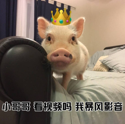 教小姐姐们如何搭讪小哥哥微信恶搞表情包