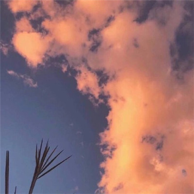 微信唯美意境好看风景静物头像