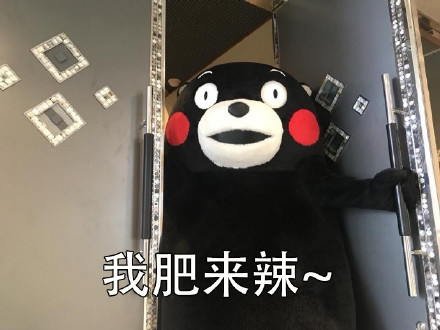 当然选择原谅了微信恶搞熊本熊表情包