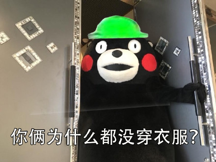 当然选择原谅了微信恶搞熊本熊表情包