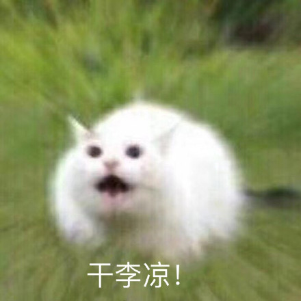 微信近期斗图恶搞表情包十月三十一号