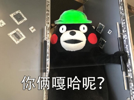 当然选择原谅了微信恶搞熊本熊表情包