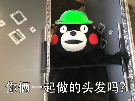 当然选择原谅了微信恶搞熊本熊表情包