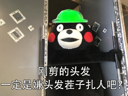 当然选择原谅了微信恶搞熊本熊表情包