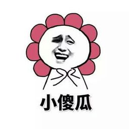在吗小傻瓜微信恶搞表情包