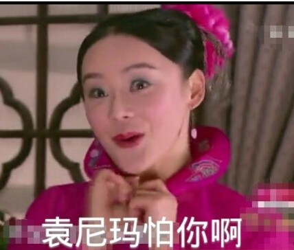 袁姗姗逗逼微信恶搞表情包
