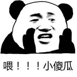 在吗小傻瓜微信恶搞表情包