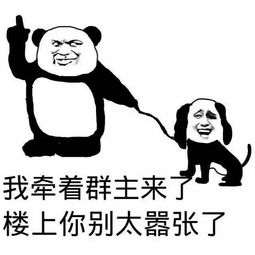 群主微信恶搞表情包