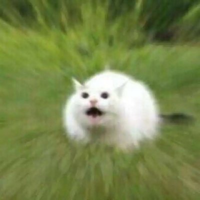 微信个性搞怪头像