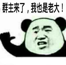 群主微信恶搞表情包