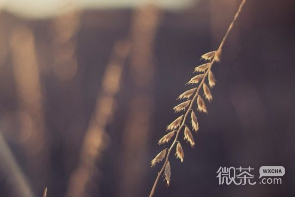 微信个性非主流唯美朋友圈配图