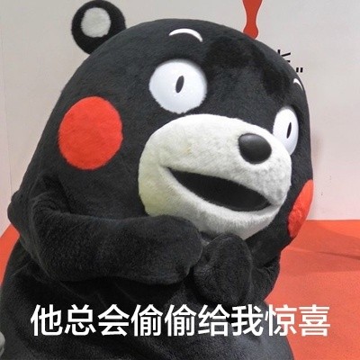 我男朋友是世界上最好的男人微信熊本熊恶搞表情包