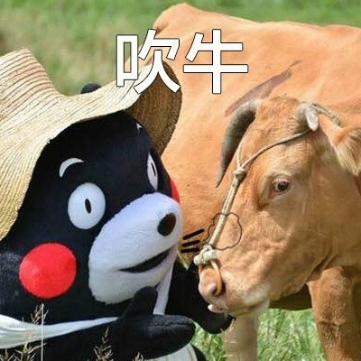 我男朋友是世界上最好的男人微信熊本熊恶搞表情包