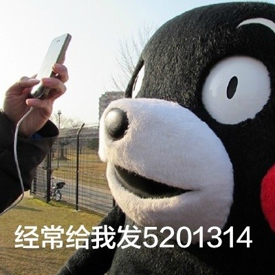 我男朋友是世界上最好的男人微信熊本熊恶搞表情包