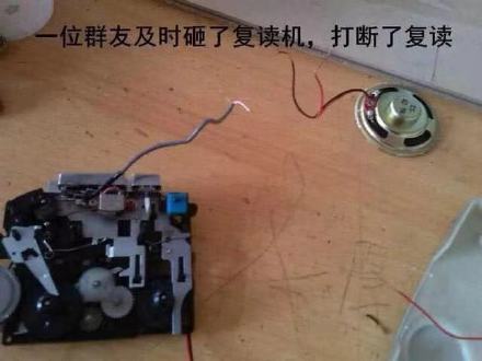 微信复读恶搞表情包